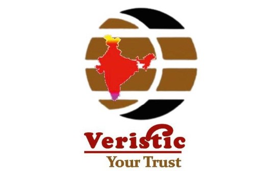 Veristic Survey and Inspections logo
